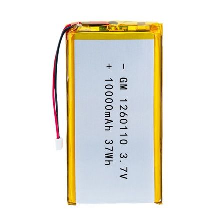 Battery Swapping Station