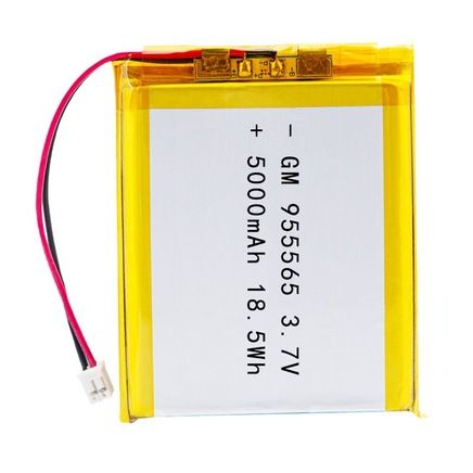 Battery Swapping Station