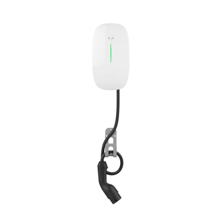 Battery Swapping Station